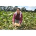 NEW SEASONS BUTTERNUT Medium Size NORTHLAND Grown